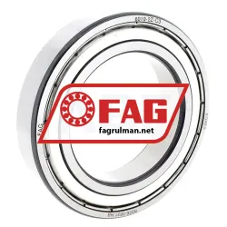 FAG 6010-2Z-C3