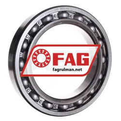 FAG 6030