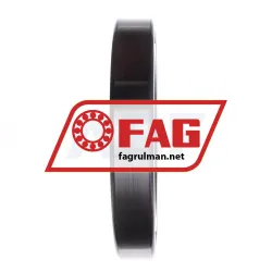 FAG 6030 rulman resim 3