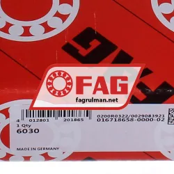 FAG 6030 rulman resim 5
