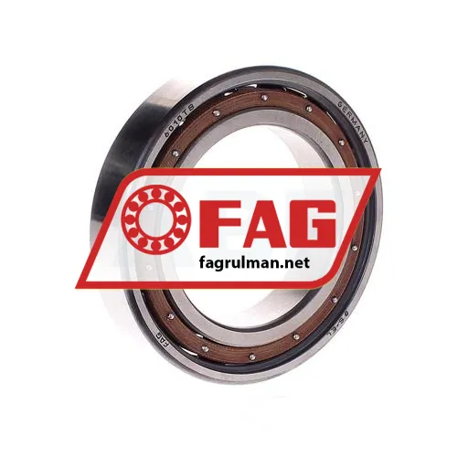 FAG 6010-TB