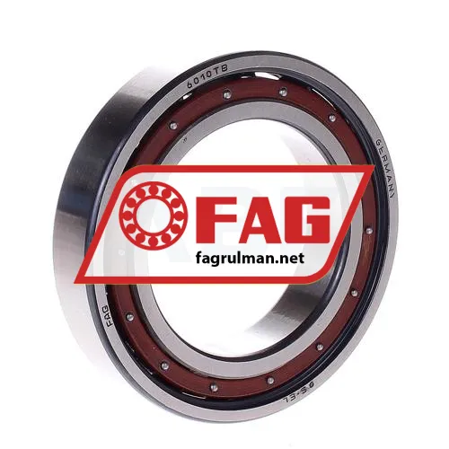 FAG 6010-TB ürün fotoğrafı 2