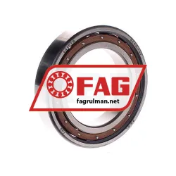 FAG 6010-TB