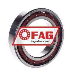 FAG 6010-TB rulman resim 2