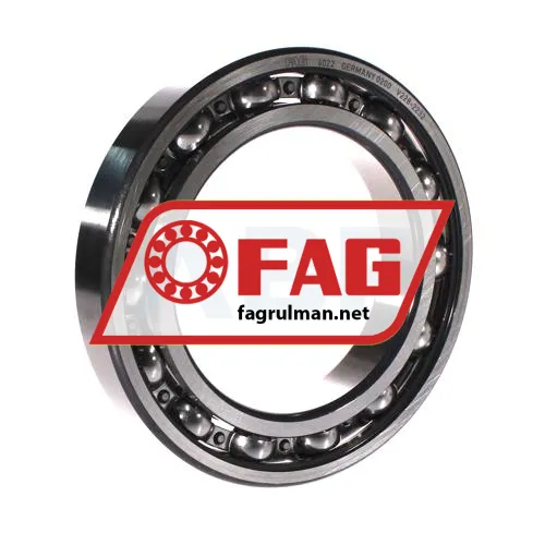 FAG 6022