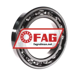 FAG 6022 rulman resim 2