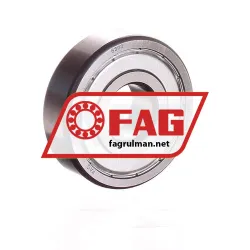 FAG 6303ZR