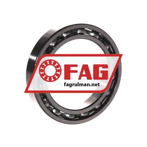 FAG 61910 ürün fotoğrafı 3