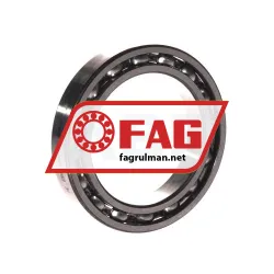 FAG 61910