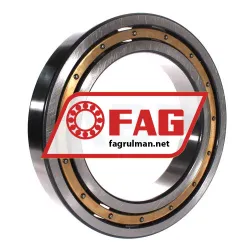 FAG 6034-M-C4 rulman resim 2