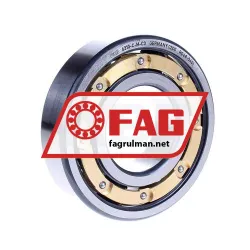 FAG 6310-M-C3