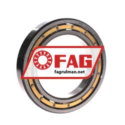 FAG 6021-M-S1-C4