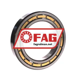 FAG 6021-M-S1-C4 rulman resim 2