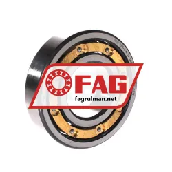 FAG 6310-C4
