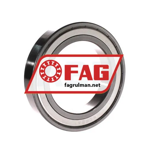 FAG 6017-B-2Z-L038-C3