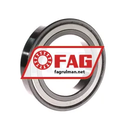 FAG 6017-B-2Z-L038-C3