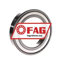 FAG 6017-B-2Z-L038-C3 rulman resim 2