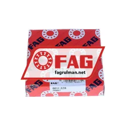 FAG 6011-2ZR rulman resim 3