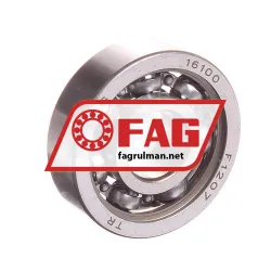 FAG 16100