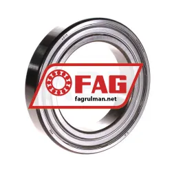 FAG 6013ZR