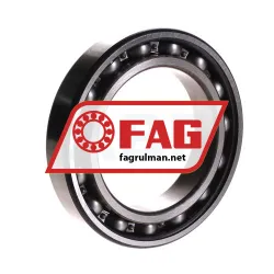 FAG 6013ZR rulman resim 2