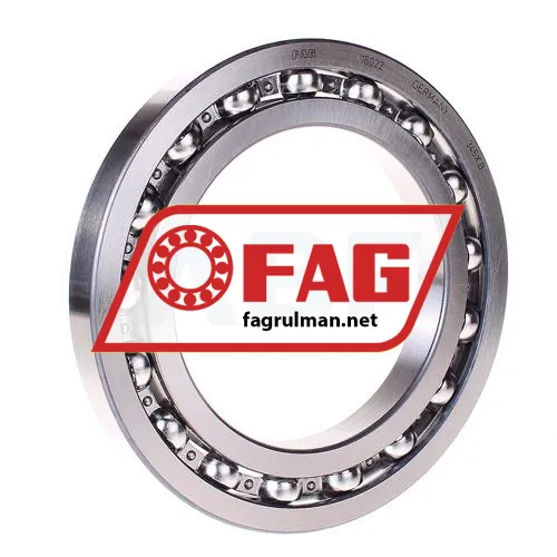 FAG 16022