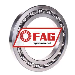FAG 16022