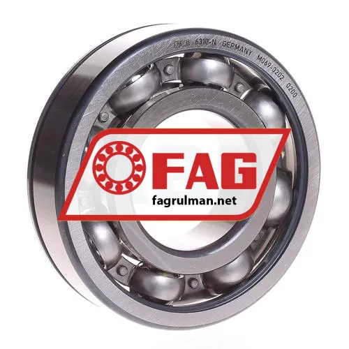 FAG 6310N
