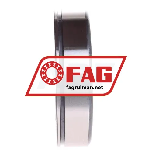 FAG 6310N ürün fotoğrafı 2