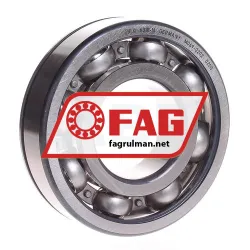 FAG 6310N