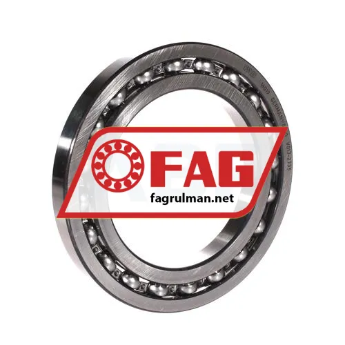 FAG 16019