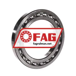 FAG 16019