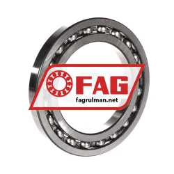 FAG 16019 rulman resim 2