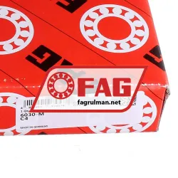 FAG 6030-M-C4 rulman resim 5
