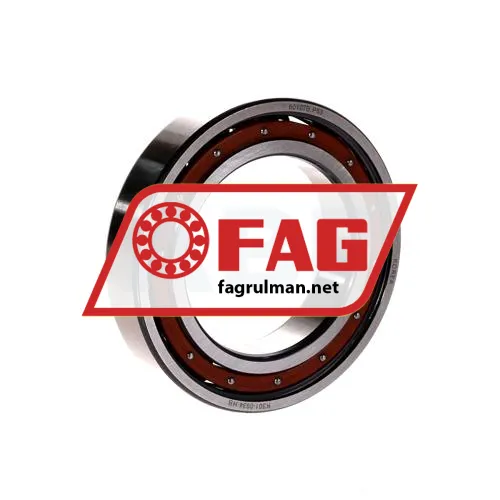 FAG 6010TB-P63