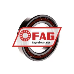 FAG 6010TB-P63 rulman resim 2