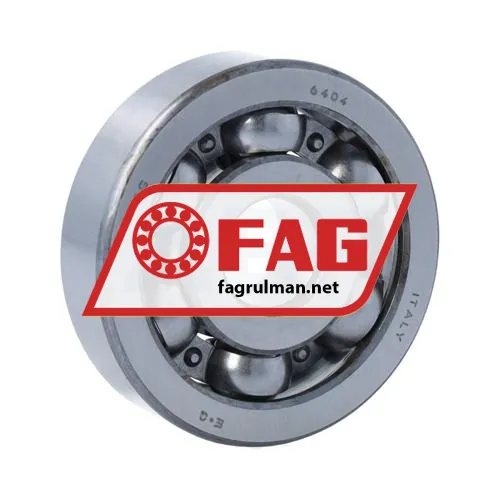 FAG 6404