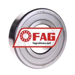 FAG 6313-2ZR-C3 rulman resim 1