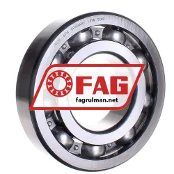 FAG 6318