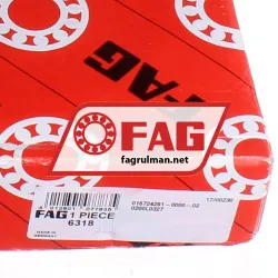 FAG 6318 rulman resim 5