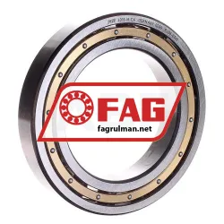 FAG 6018M-C4