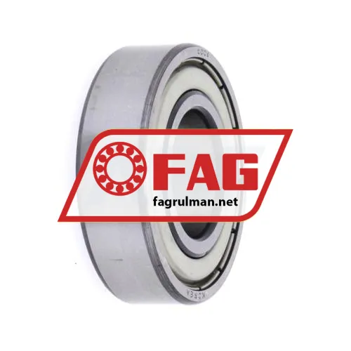 FAG 6004-2ZR ürün fotoğrafı 2