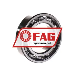 FAG 6008