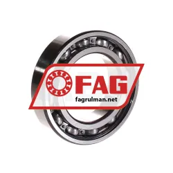 FAG 6008 rulman resim 2