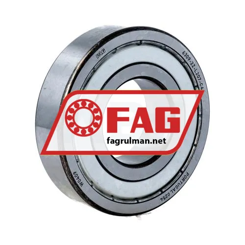 FAG 6309-2Z-L207-C4