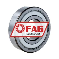 FAG 6309-2Z-L207-C4 rulman resim 2