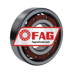 FAG 6310-TB rulman resim 2