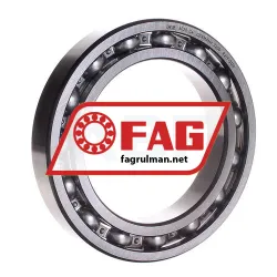 FAG 6020-C4