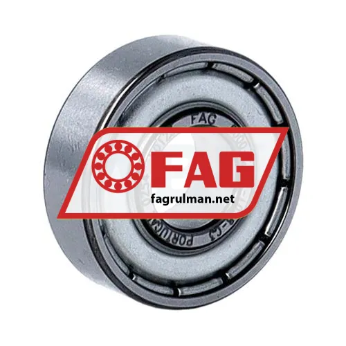 FAG 6000-C-2Z-L038-C3