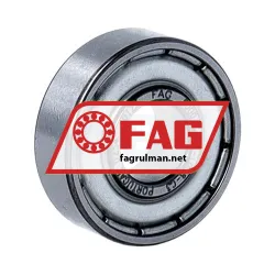 FAG 6000-C-2Z-L038-C3
